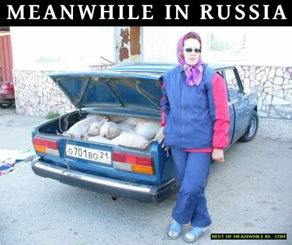 мем, россия, meanwhile in russia